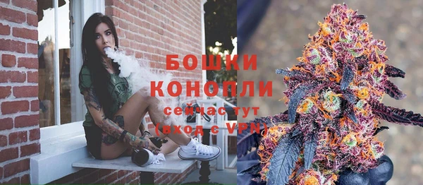 шишки Лиски