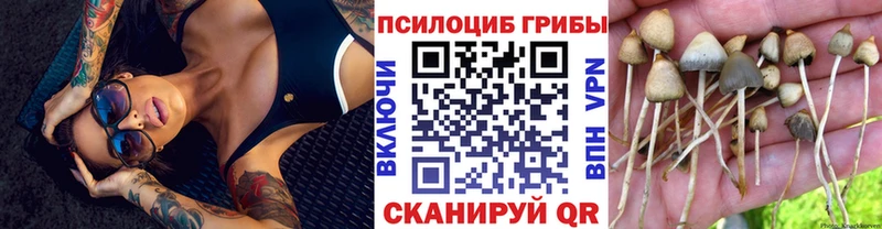 Купить закладки  Людиново  Псилоцибиновые грибы MAGIC MUSHROOMS 